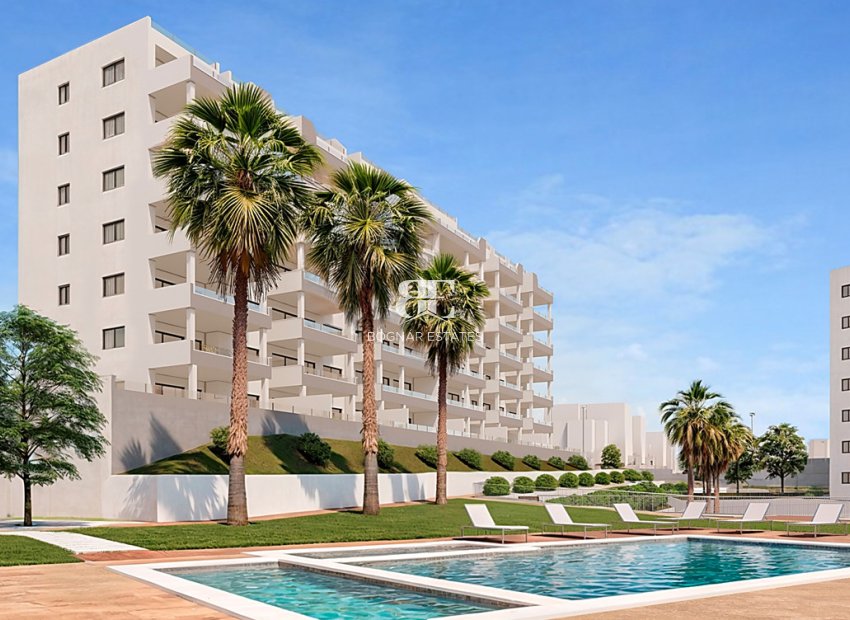 New Build - ground-floor -
San Miguel de Salinas
