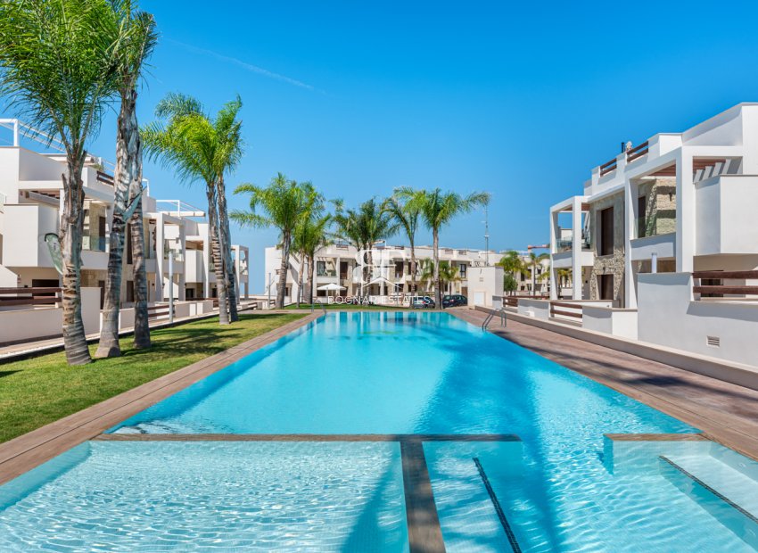 New Build - low-bungalow -
Torrevieja