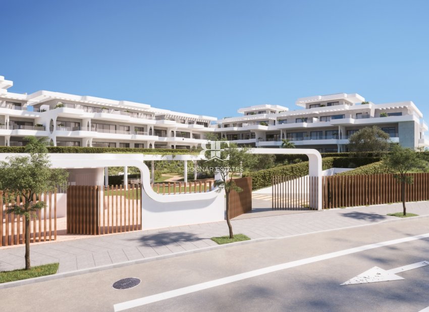 New Build - Penthouse -
Reinoso