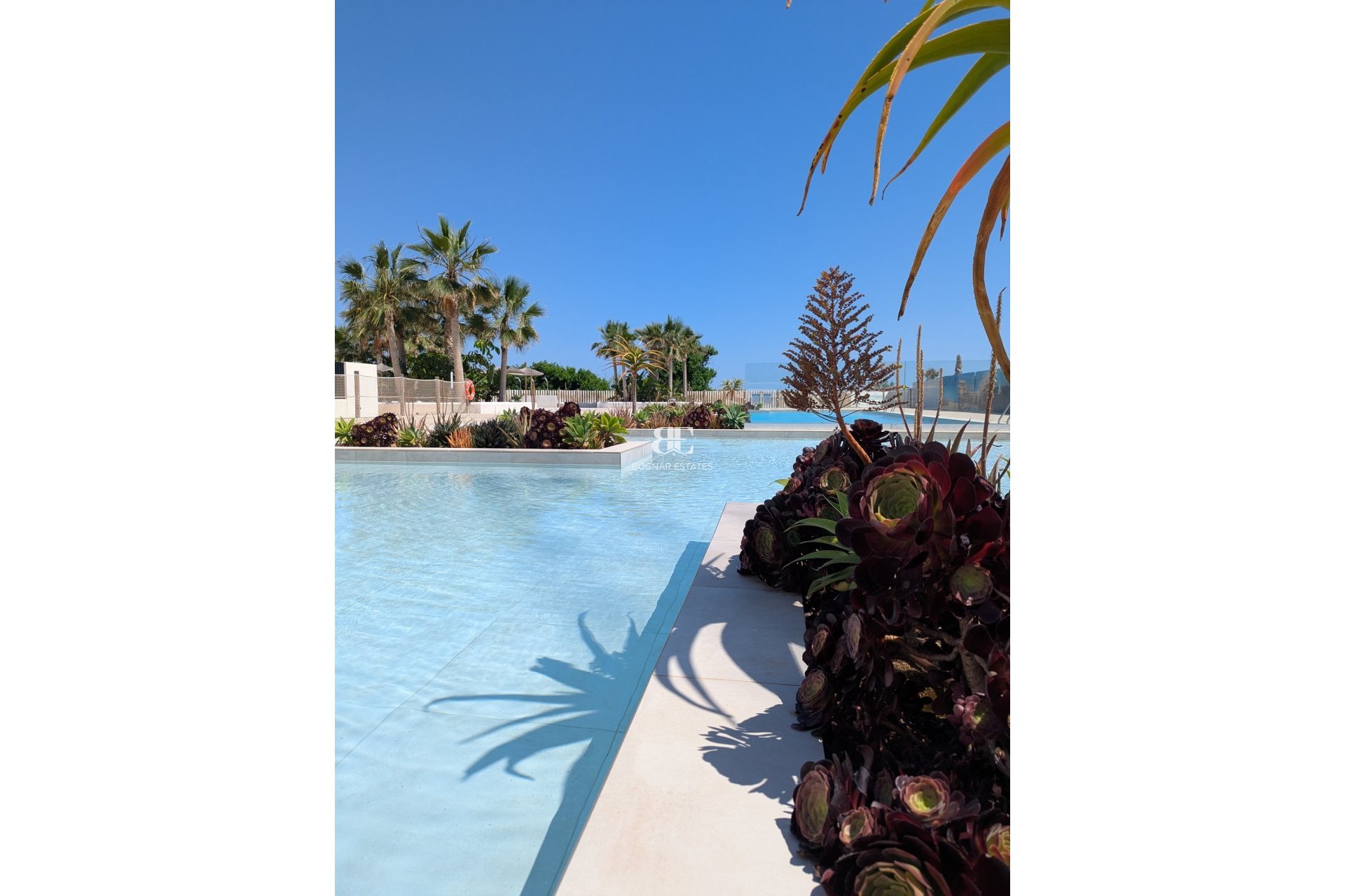 Nieuwbouw - apartment -
Denia - Dénia