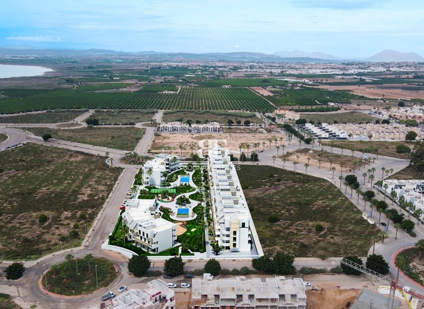 Nieuwbouw - apartment -
Guardamar del Segura