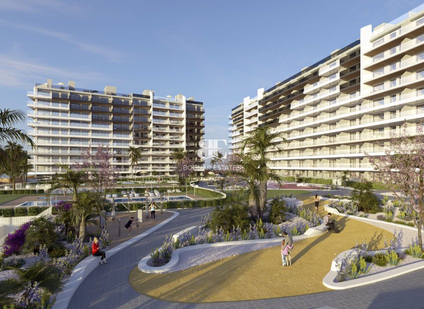 Nieuwbouw - apartment -
Torrevieja