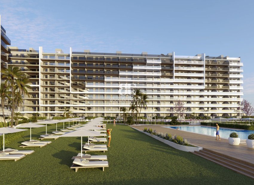 Nieuwbouw - apartment -
Torrevieja