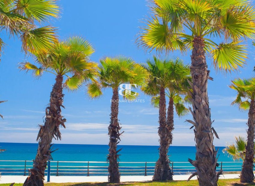 Nieuwbouw - ground-floor -
Cabo Roig