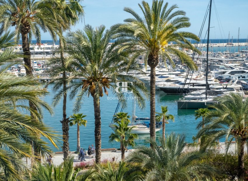 Resale - apartment -
Alicante - Center