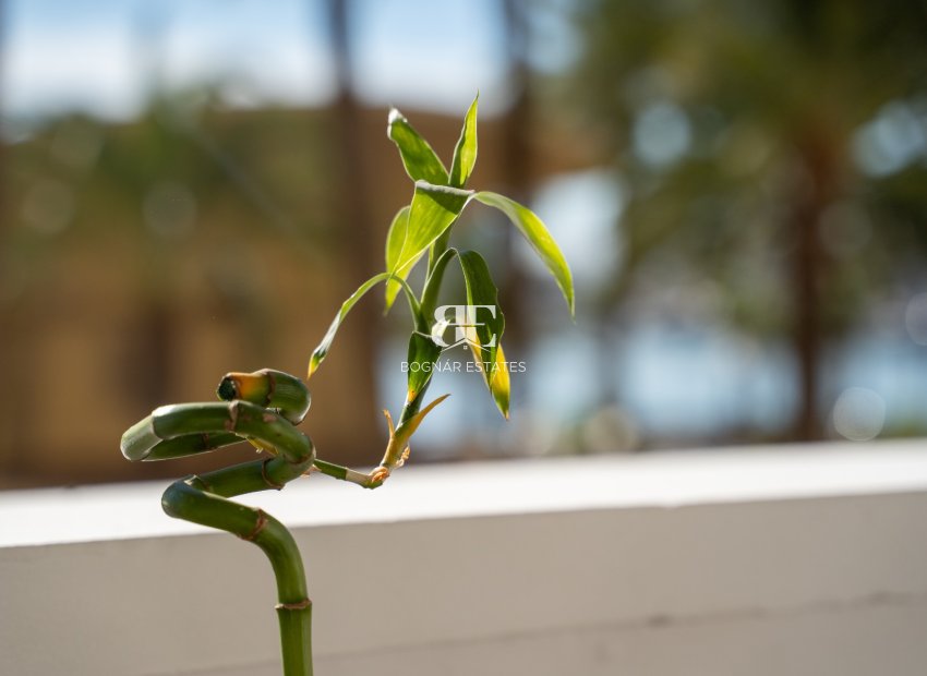 Resale - apartment -
Alicante - Center