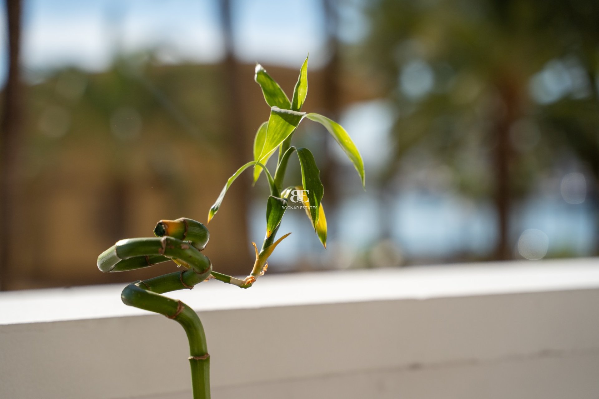 Resale - apartment -
Alicante - Center