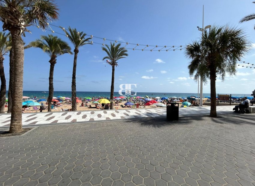 Resale - apartment -
Benidorm - Levante