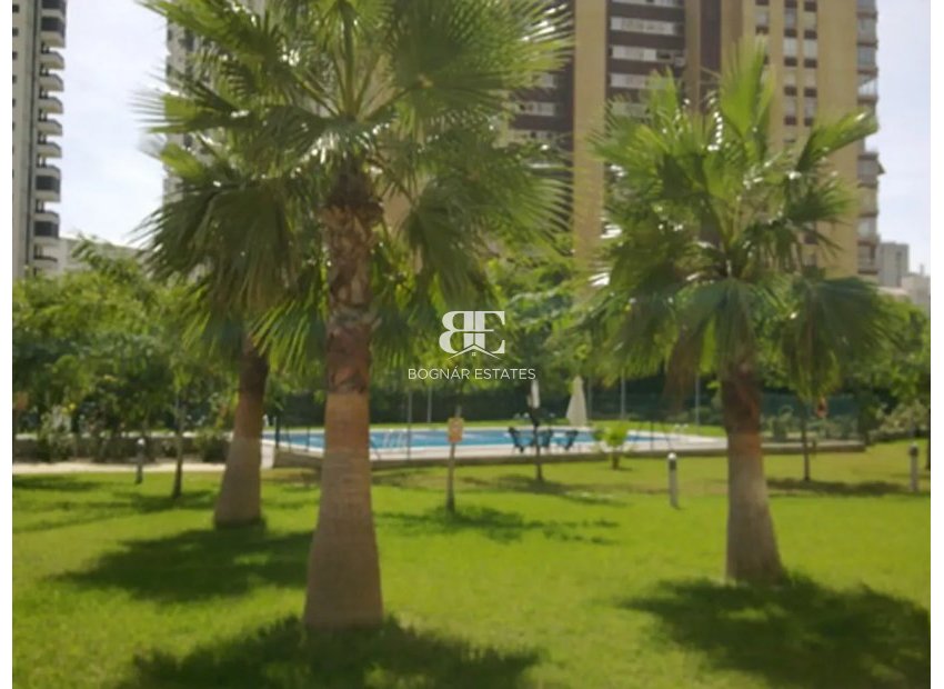Resale - apartment -
Benidorm - Levante