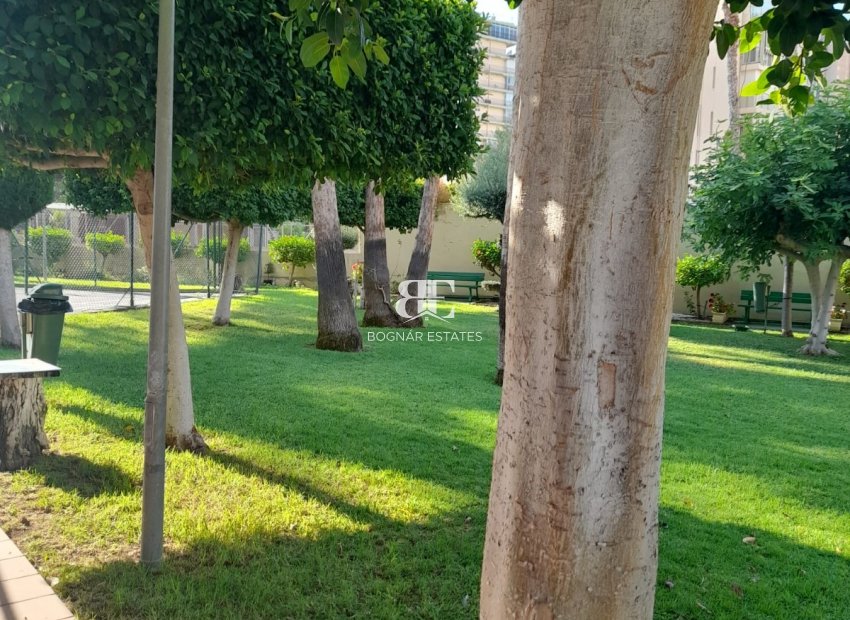 Resale - apartment -
Benidorm - Levante