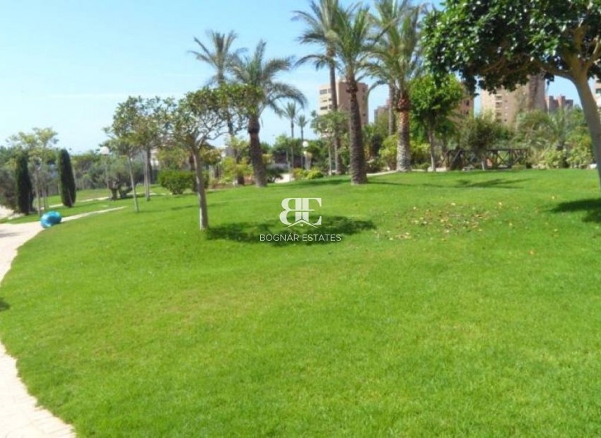Resale - apartment -
Benidorm - Poniente