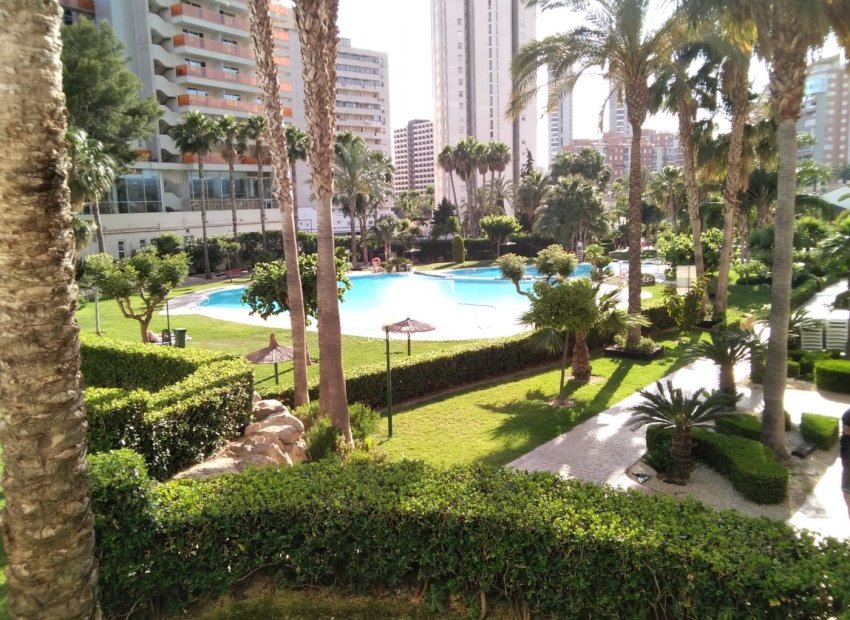 Resale - apartment -
Benidorm - Rincón de Loix