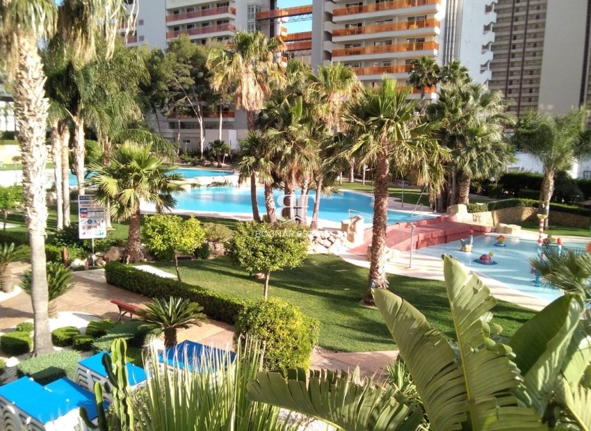 Resale - apartment -
Benidorm - Rincón de Loix