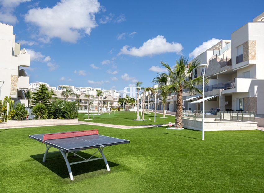 Resale - apartment -
Guardamar del Segura - El Raso