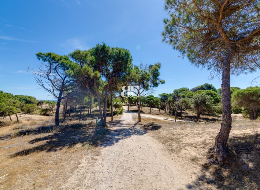 Resale - apartment -
Guardamar del Segura - Pinomar