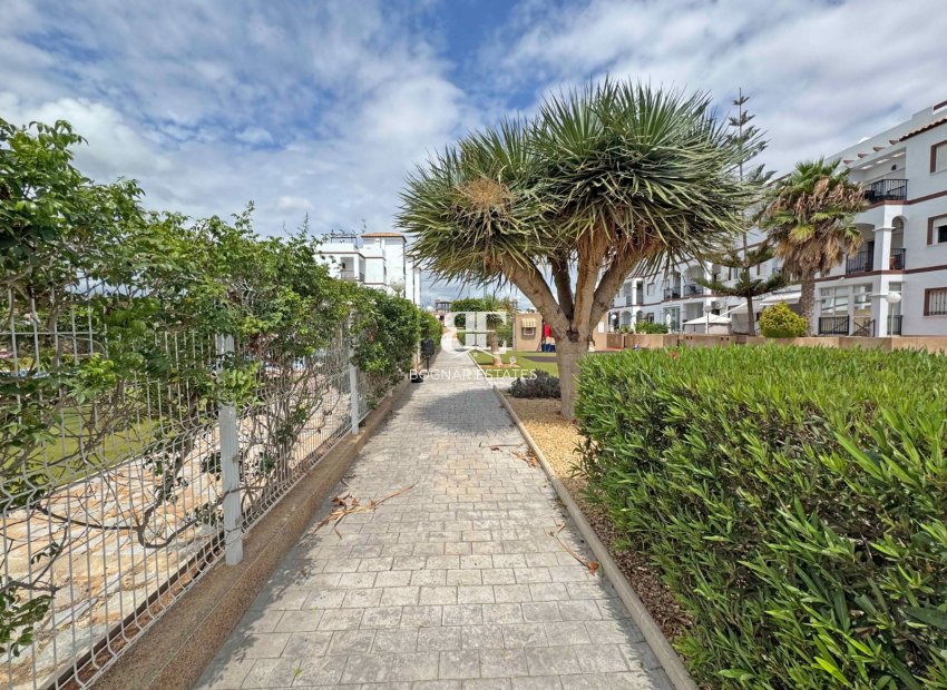 Resale - apartment -
Orihuela Costa - Punta Prima