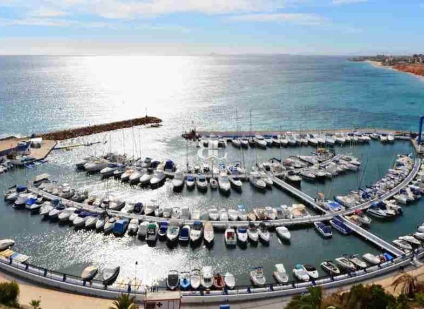 Resale - apartment -
Orihuela Costa - Villamartin Pau-8