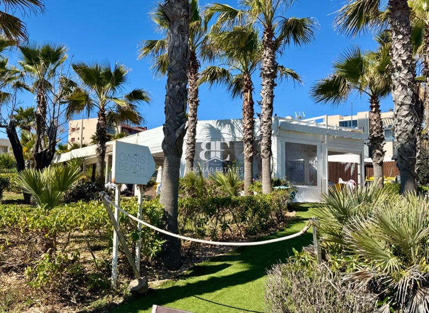 Resale - apartment -
Pilar de la Horadada - Mil Palmeras