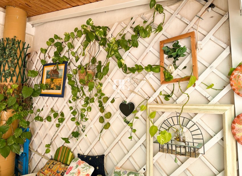 Resale - apartment -
Torrevieja - Center