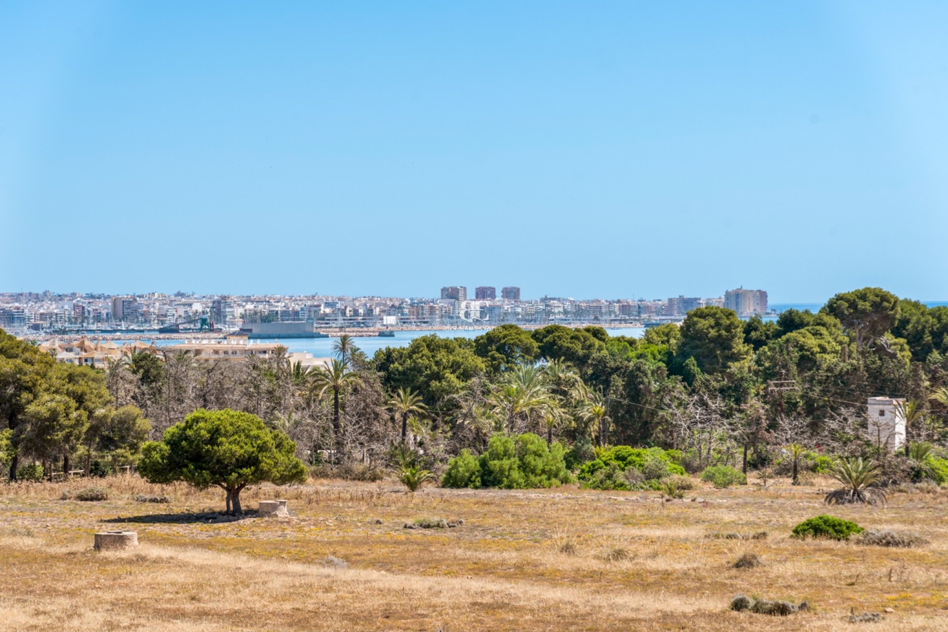 Resale - apartment -
Torrevieja