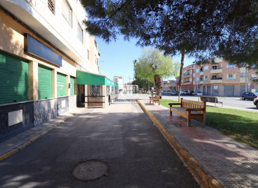 Resale - Commercial -
Catral - Catral - Town