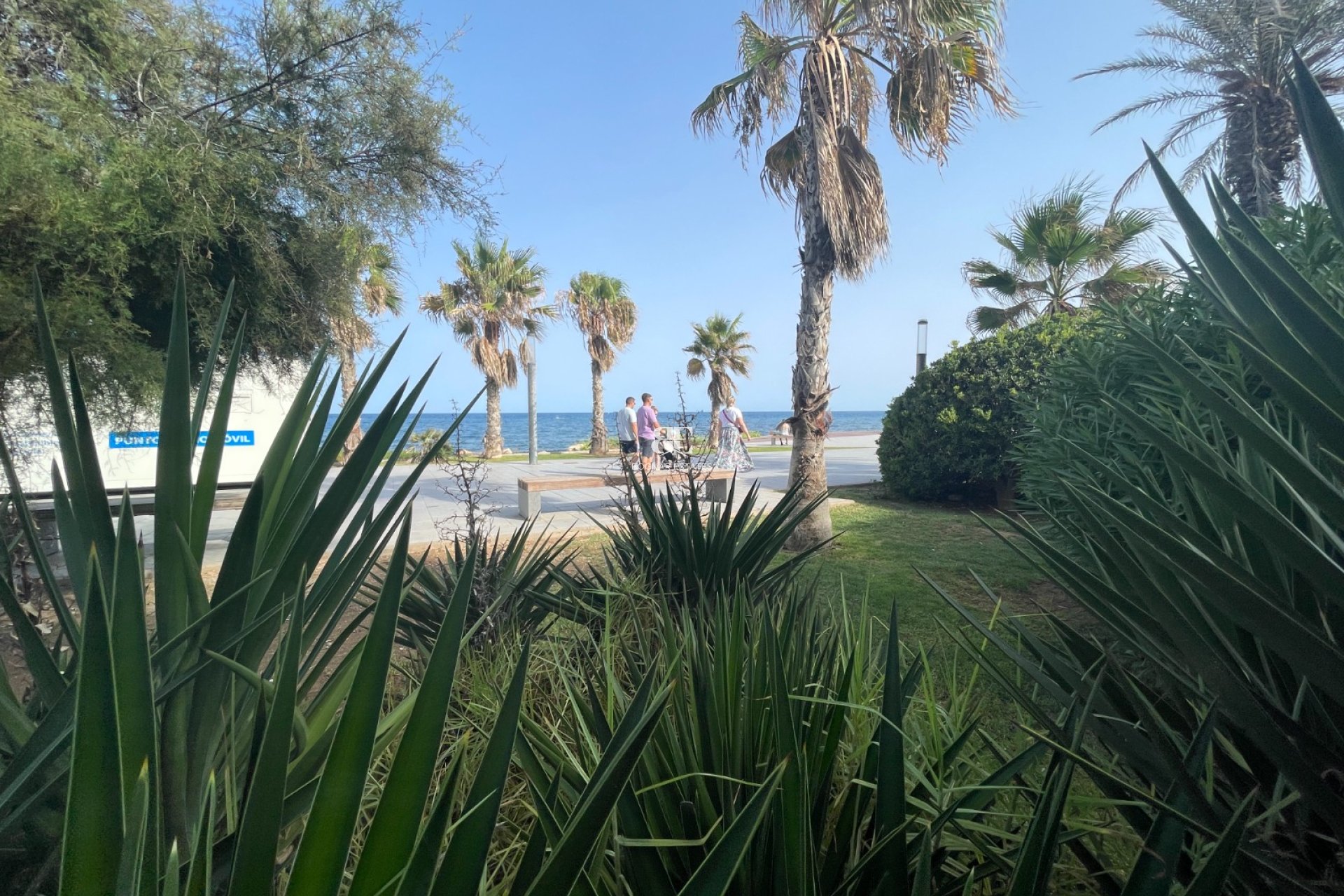 Resale - Commercial -
Torrevieja - Comunidad Valenciana