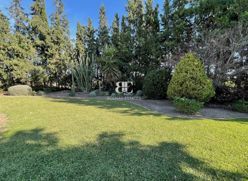 Resale - Country House -
Daya Nueva