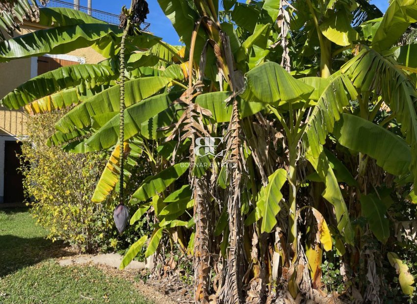 Resale - Country House -
Daya Nueva