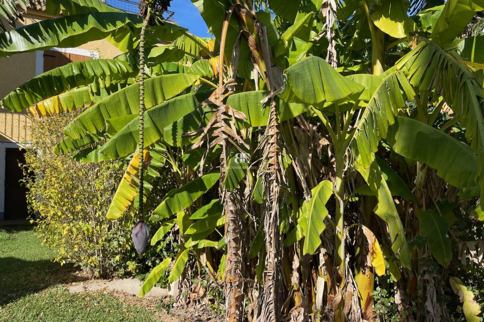 Resale - Country House -
Daya Nueva