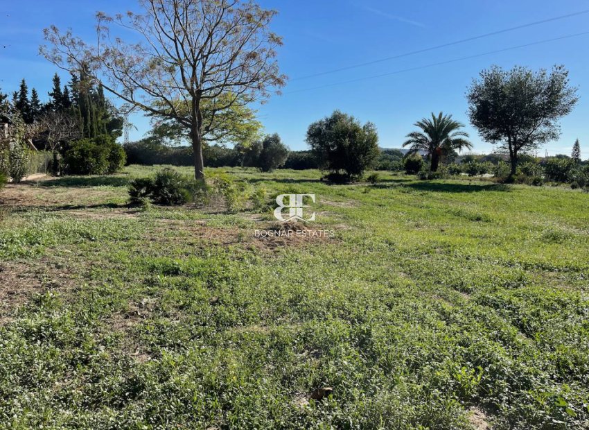 Resale - Country House -
Daya Nueva