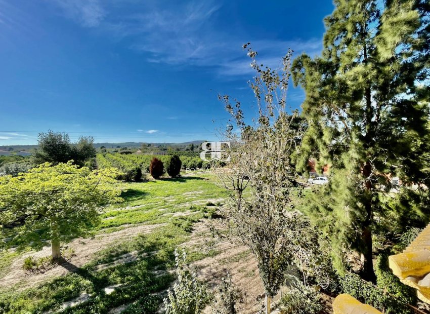 Resale - Country House -
Daya Nueva