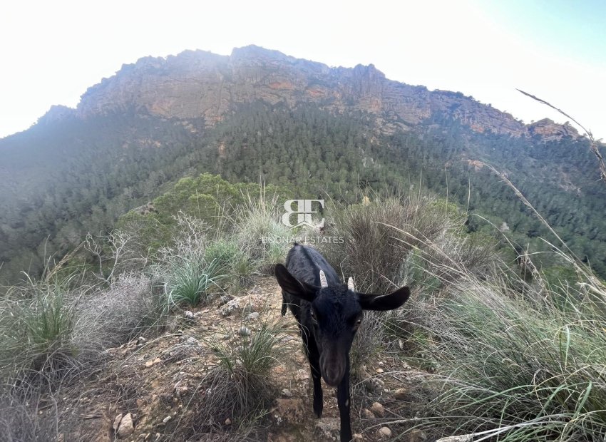 Resale - Country House -
Gea Truyols - Gea y Trujols