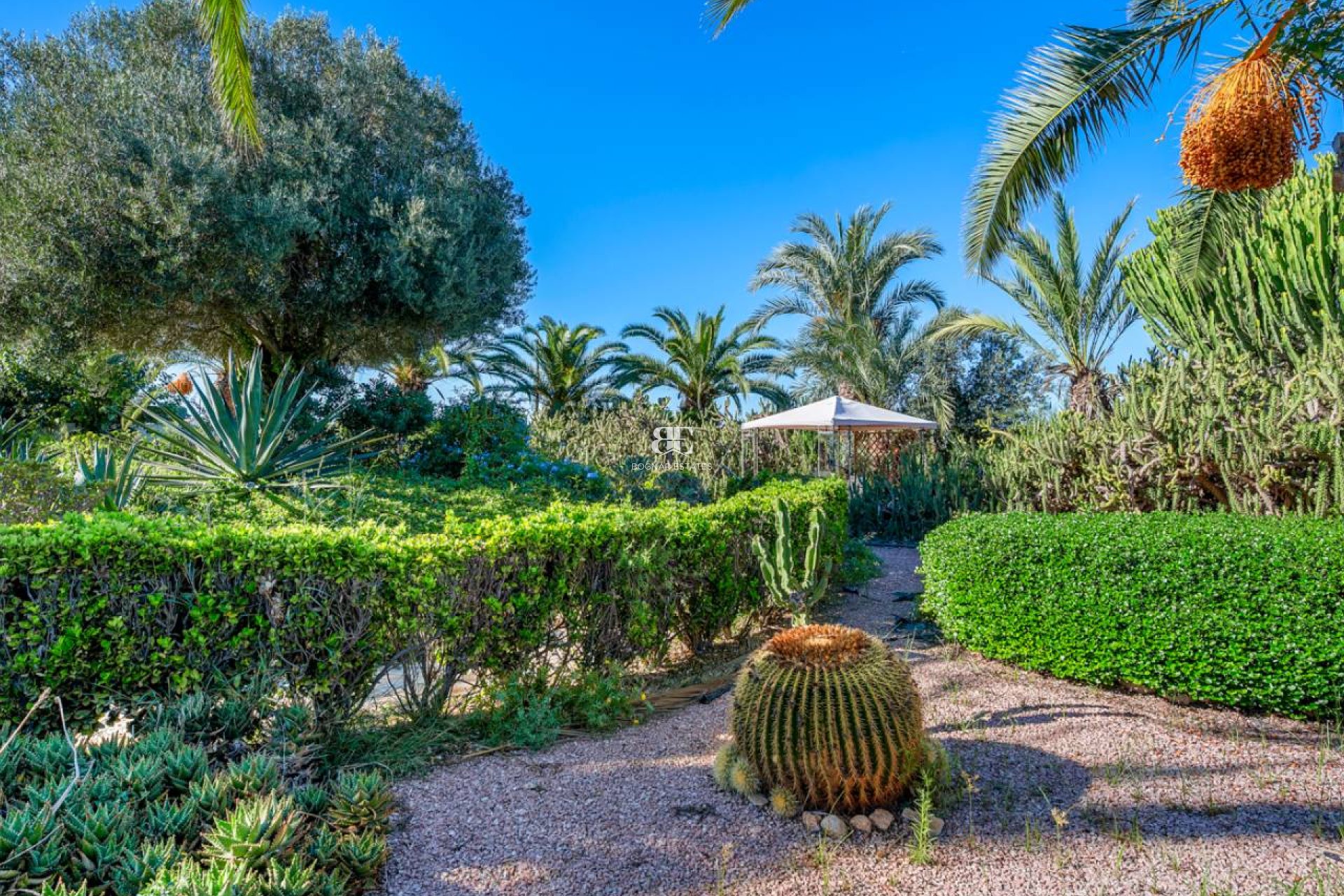 Resale - Country House -
Los Montesinos