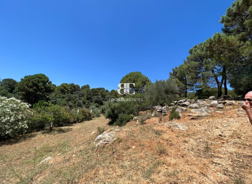 Resale - Country House -
Ronda