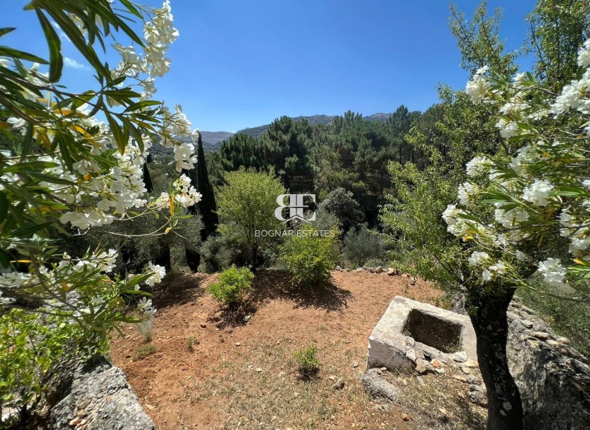 Resale - Country House -
Ronda