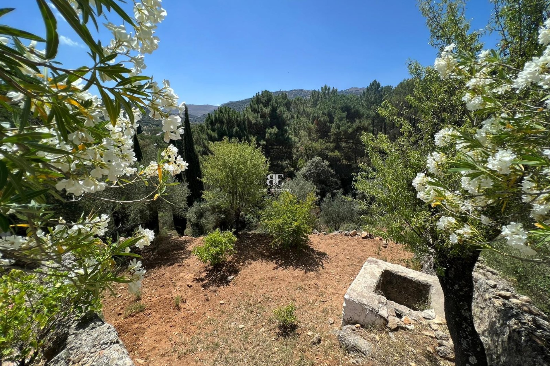 Resale - Country House -
Ronda
