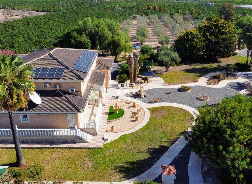Resale - Country House -
San Miguel de Salinas