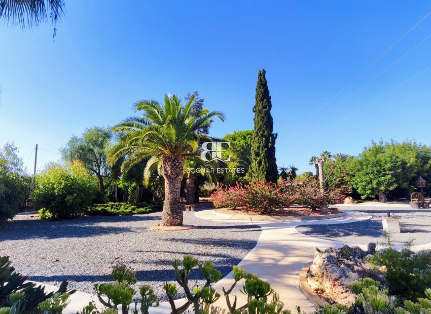 Resale - Country House -
San Miguel de Salinas