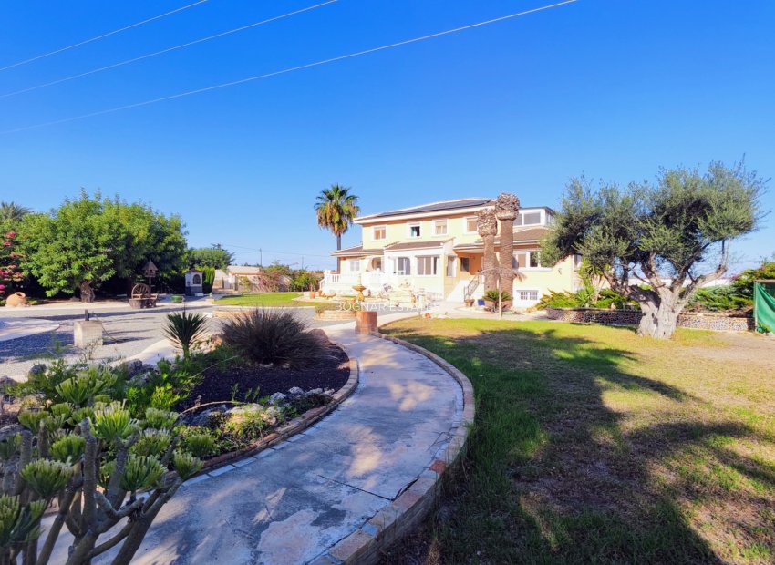 Resale - Country House -
San Miguel de Salinas