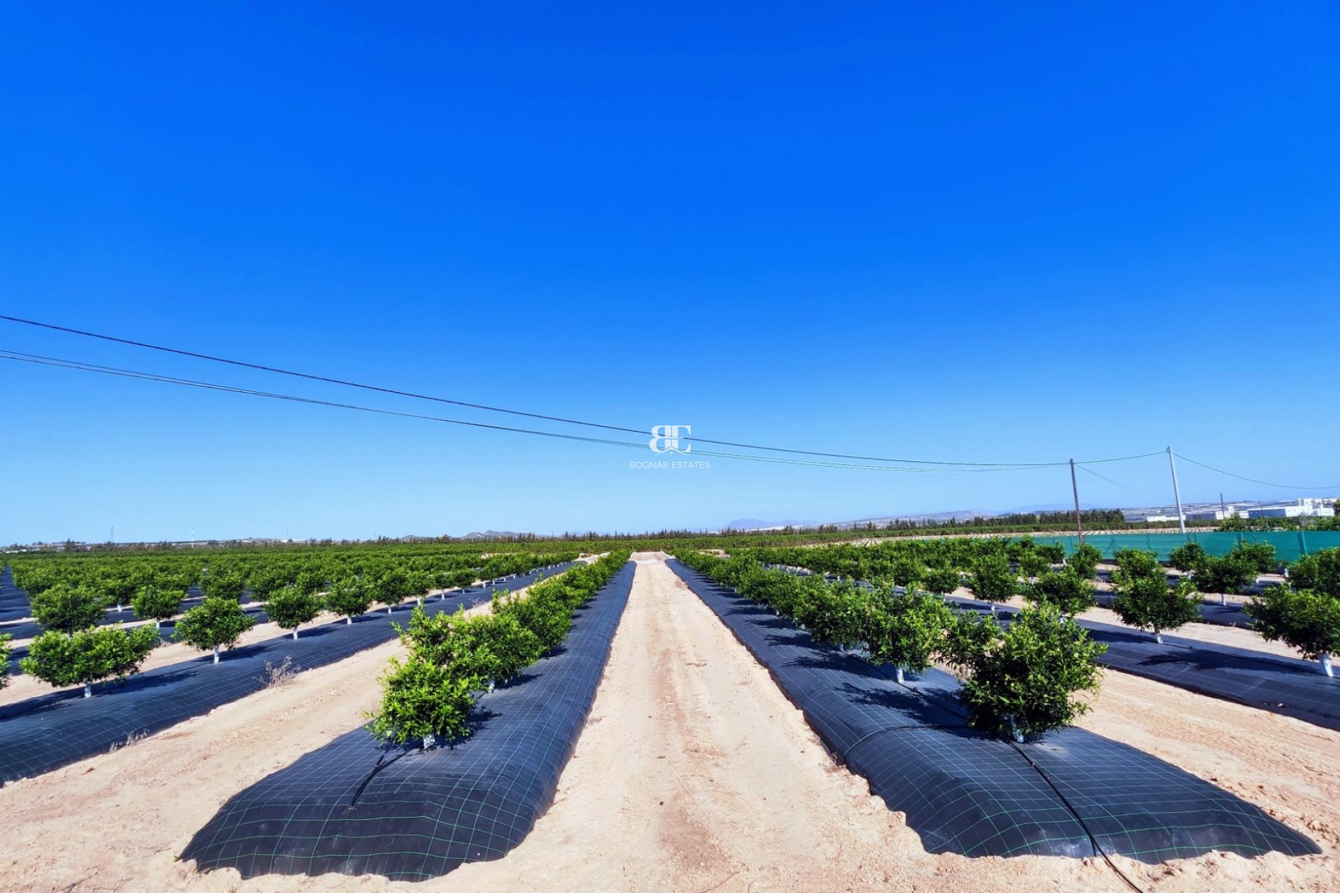 Resale - Country House -
San Miguel de Salinas