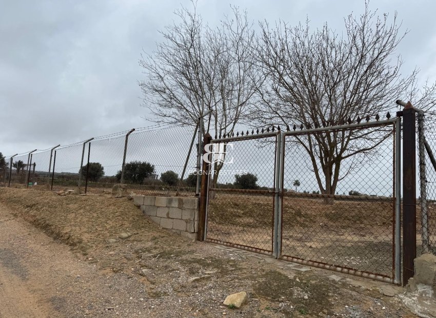 Resale - Land -
Elche - La Marina