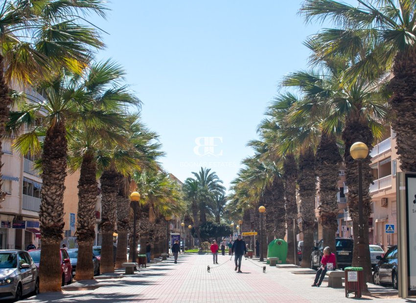 Resale - Land -
Guardamar del Segura - Pueblo
