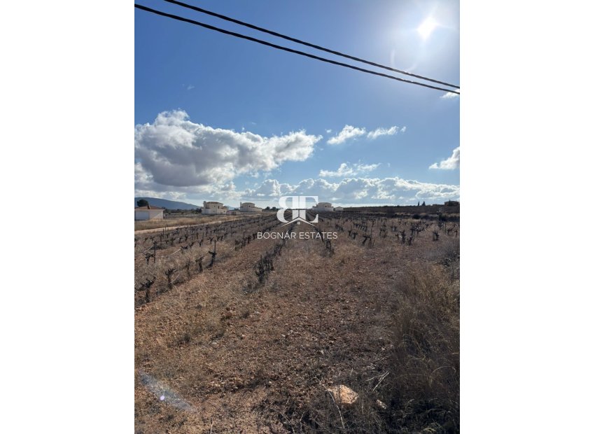 Resale - Land -
Pinoso - el Pinós / Pinoso