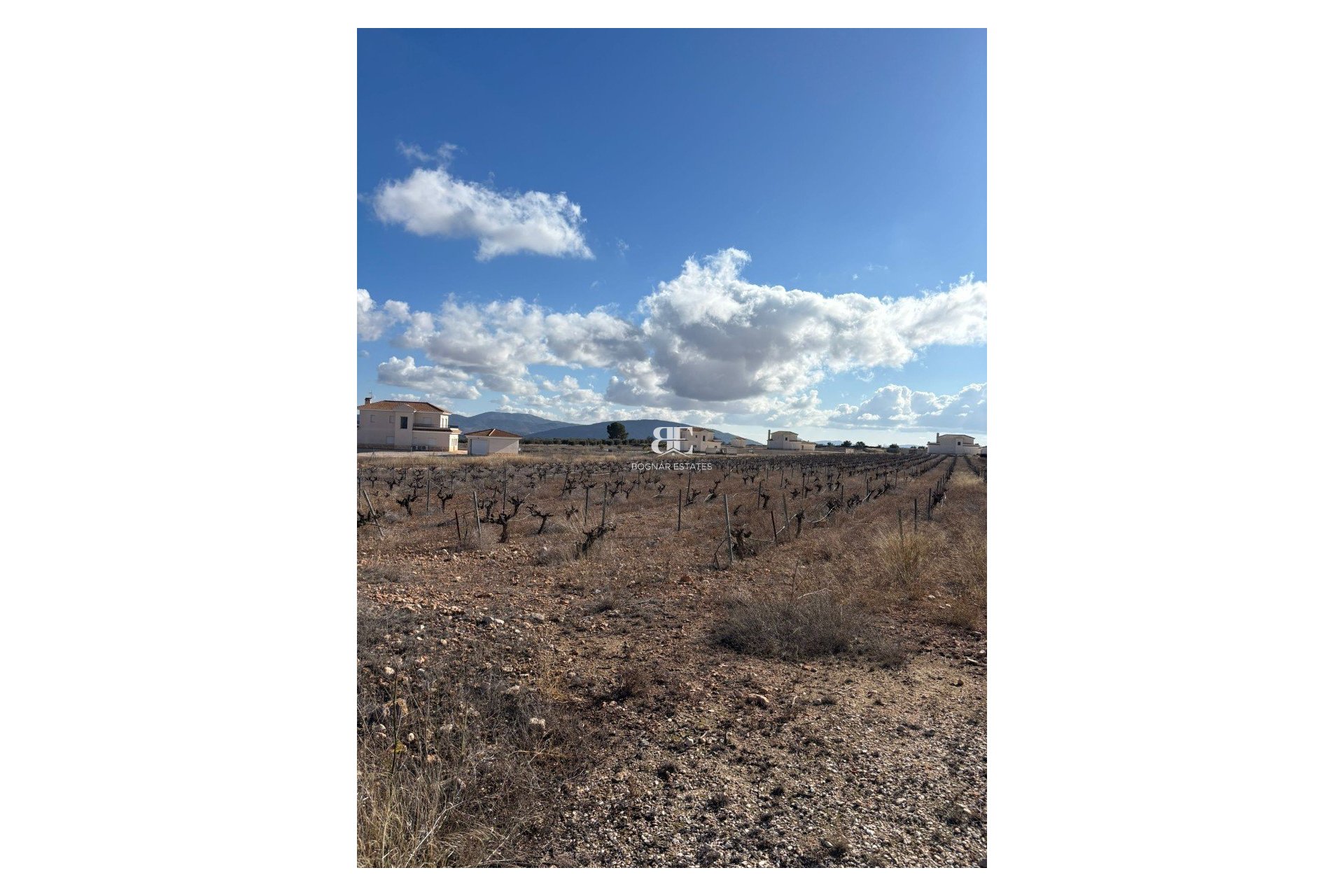 Resale - Land -
Pinoso - el Pinós / Pinoso