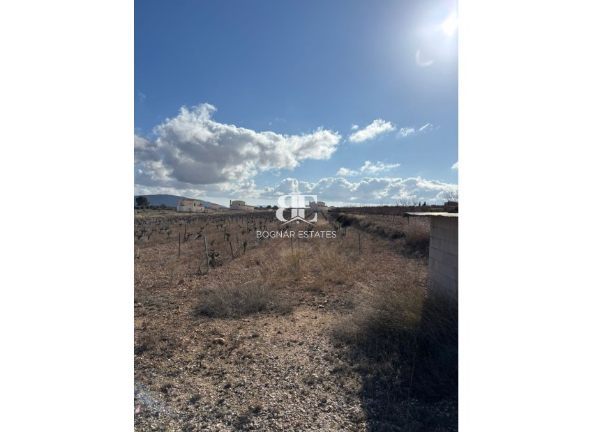 Resale - Land -
Pinoso