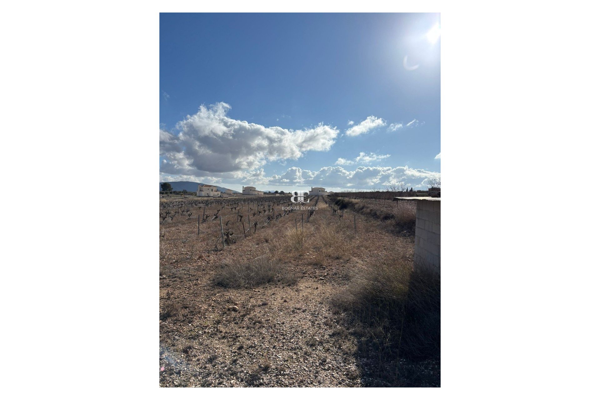 Resale - Land -
Pinoso