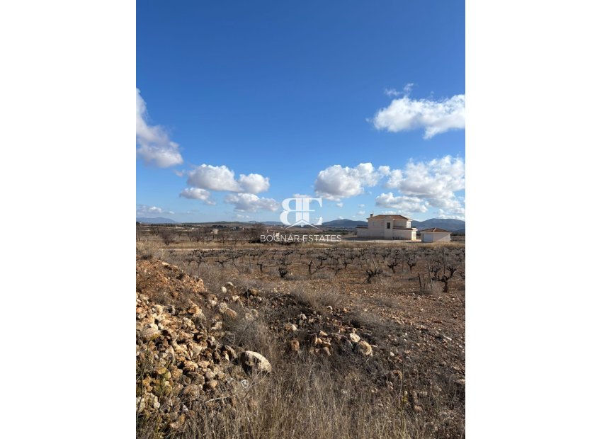 Resale - Land -
Pinoso