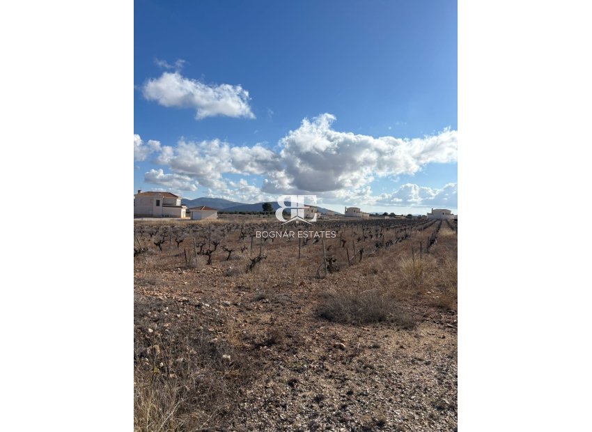 Resale - Land -
Pinoso
