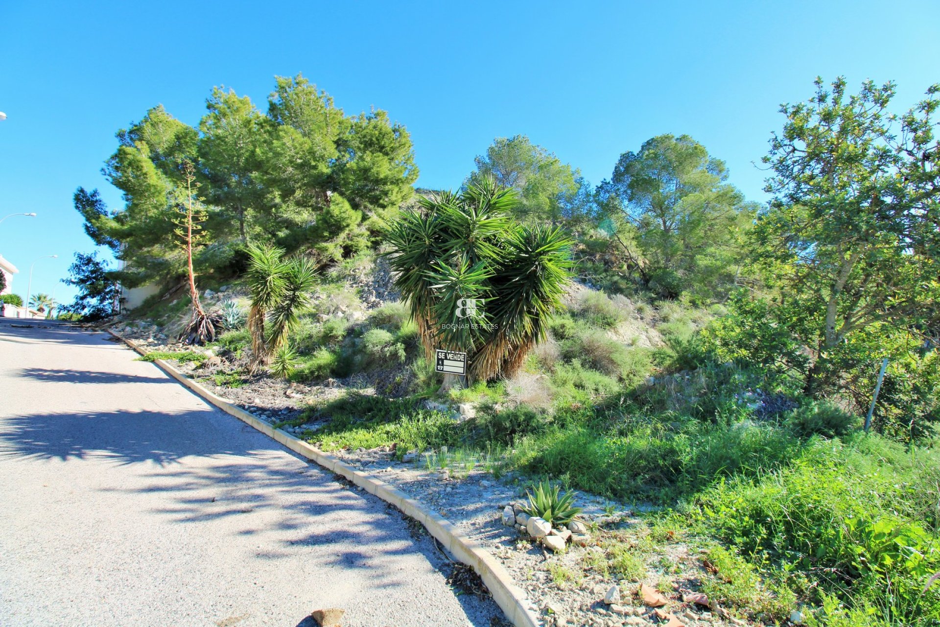 Resale - Land -
San Miguel de Salinas