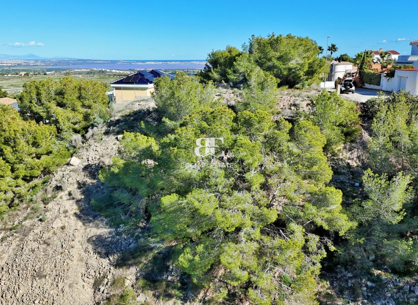 Resale - Land -
San Miguel de Salinas